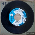 The Rimshots- Dance Girl b/w Who got The Monster